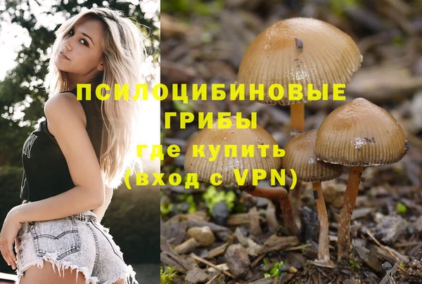 спиды Нефтегорск