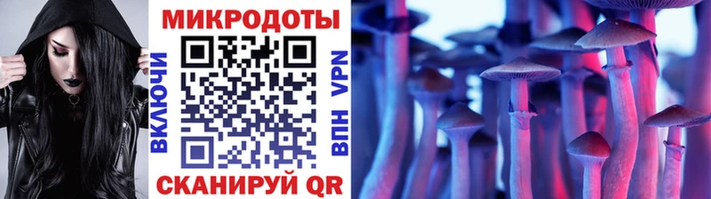 Галлюциногенные грибы Psilocybine cubensis  цены   Петровск-Забайкальский 